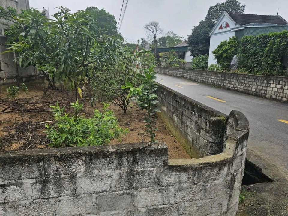 Đất nền Nghi Xuân 121m² giá thỏa thuận - Đường lớn, hai mặt tiền.