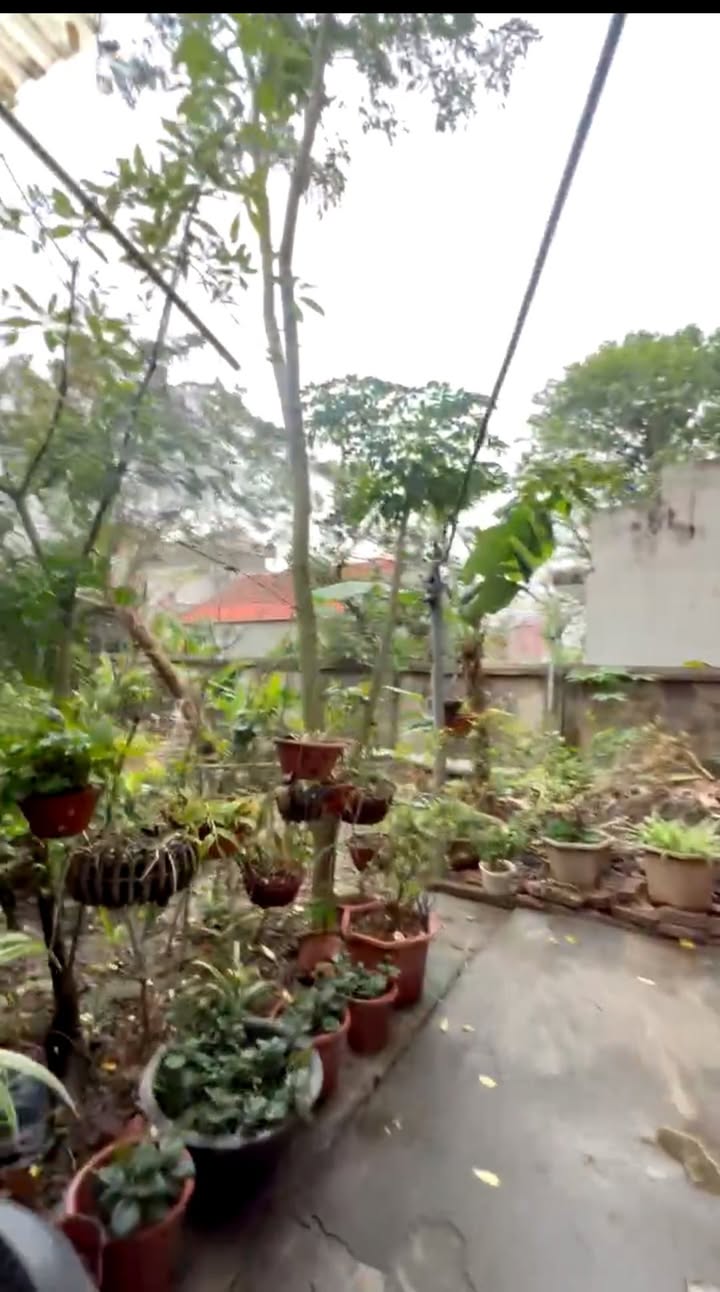 Đất Nhị Khê, Thường Tín 54.6m² giá 2 tỷ - Sổ đỏ chính chủ, đầu tư an toàn!