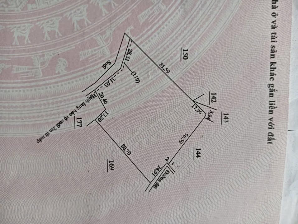 Đất thổ cư 7.000m² tại Thiện Hưng, Bù Đốp chỉ 500 triệu - Đầu tư sinh lời ngay!