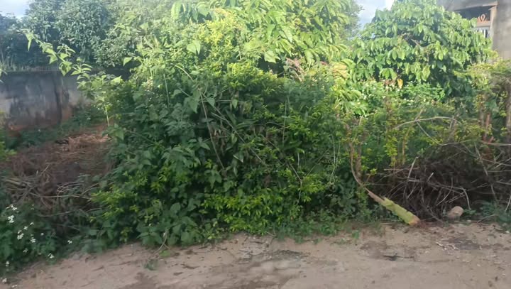 Đất nền 174m² tại Vinh Hà, Chư Sê - Chỉ 360 triệu, sở hữu ngay!