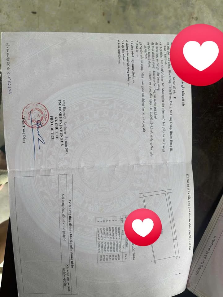 Đất ruộng Hưng Hà 20.000m² giá chỉ 700 triệu - Sổ hồng chính chủ!