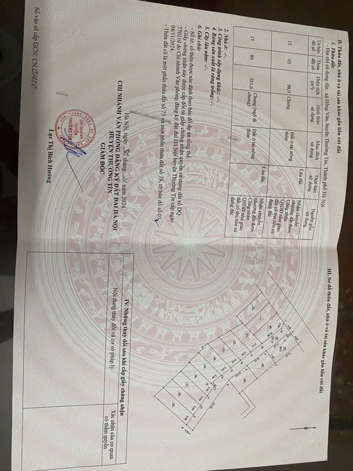 Đất nền góc 98m² Cẩm Cơ, Hồng Vân, Thường Tín - Giá chỉ 4 tỷ, cơ hội đầu tư tuyệt vời!