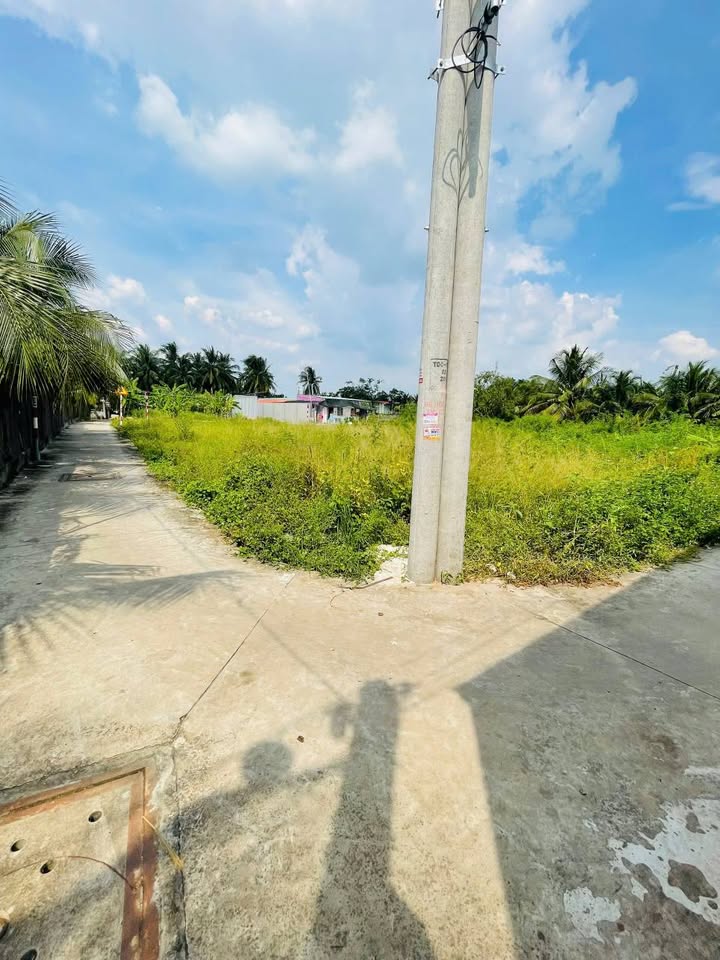 Đất nền hướng Nam 72m² giá 550 triệu tại Trung An - Cơ hội đầu tư hấp dẫn!