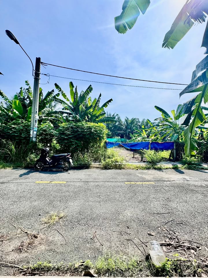 Đất thổ cư hẻm 21 Trường Lưu, Q9 - 90m² chỉ 4.8 tỷ - Đầu tư lý tưởng!