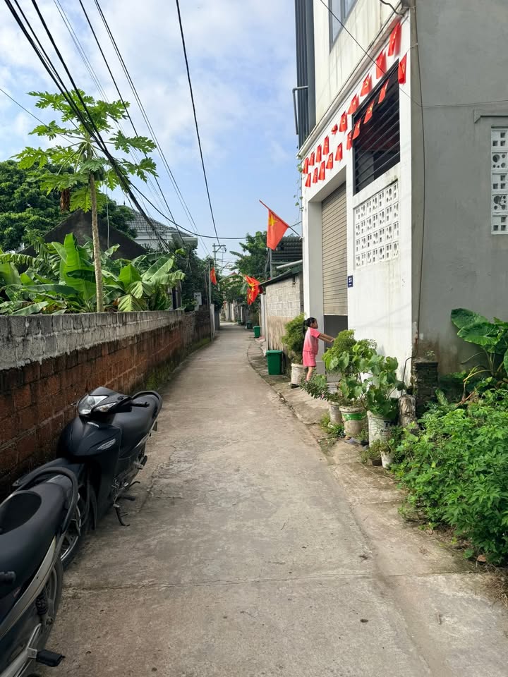 Đất nền Vân Tảo, Thường Tín 276m² giá 3.5 tỷ - Hiếm có khó tìm!