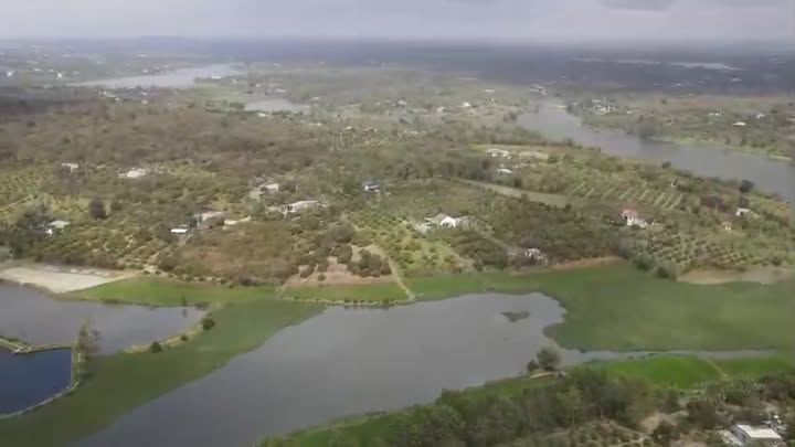 Farm Đắk Lắk 1,2ha giá 1,25 tỷ - Cơ hội đầu tư sinh lời