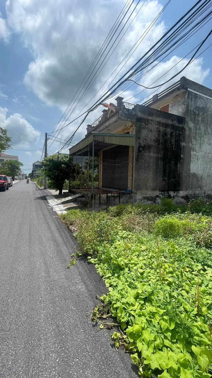 Đất thổ cư 100m² Trình Trung Đông, Tiền Hải - Chính chủ bán gấp chỉ 1.5 tỷ!