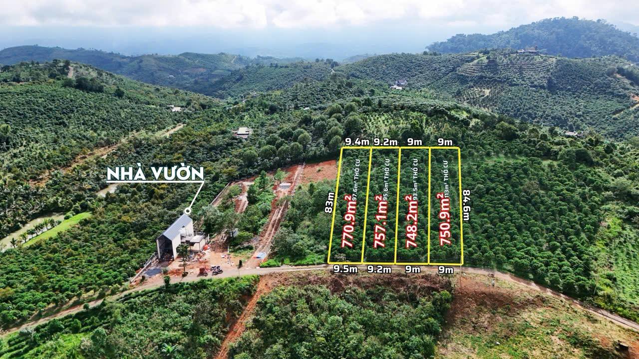 Đất nền Lộc Thành Bảo Lâm 750m² giá 1 tỷ - Đầu tư sinh lời ngay!