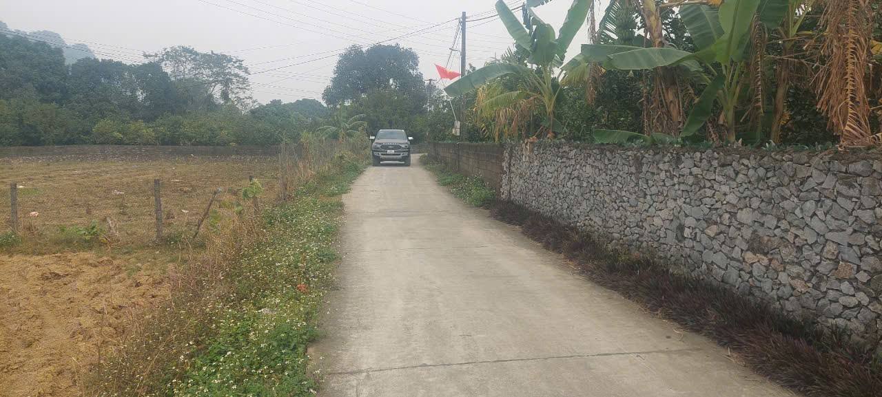 Đất thổ cư 3000m² Quốc lộ 21 Lương Sơn - Đầu tư sinh lời ngay!