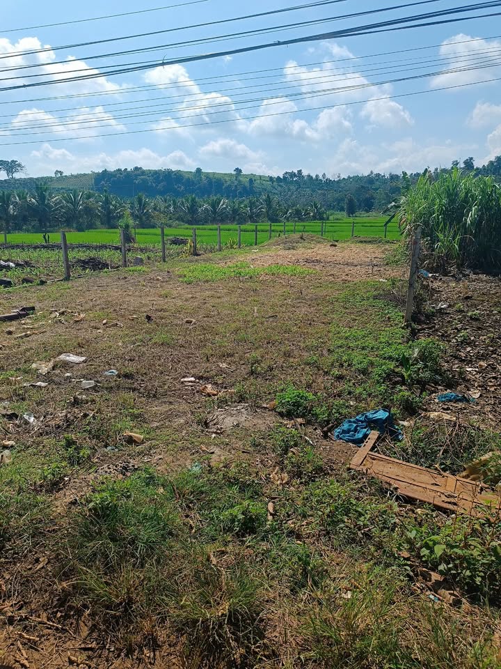 Đất thổ cư mặt tiền TL 683 xã Đắk Sắc 350m² giá 1.5 tỷ - Cơ hội đầu tư hấp dẫn!