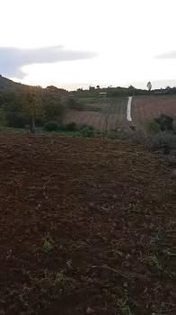 Đất nền Cư Pơng, Krông Búk 32,400m² giá 1.3 tỷ - Cơ hội đầu tư tuyệt vời!