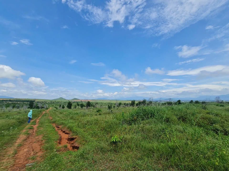 Đất nền 19,7ha Hàm Mỹ, Phan Thiết giá 157,6 tỷ - Sổ đỏ chính chủ, đầu tư sinh lời!