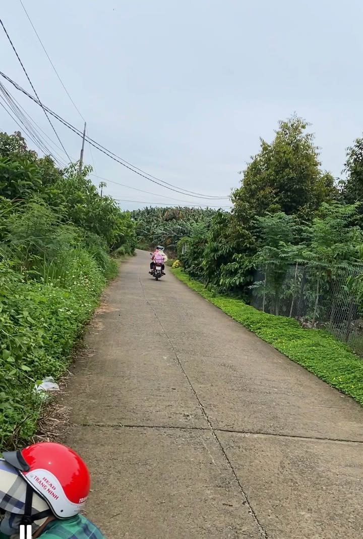 Đất thổ cư Phú Vinh, Định Quán, Đồng Nai 156m² giá 390 triệu - Mặt tiền đường bê tông, đầu tư sinh lời!