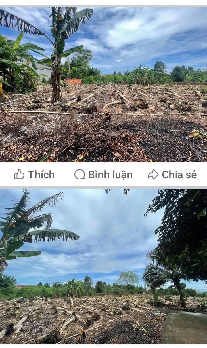 Đất nền Bàu Hàm 980m² giá chỉ 500 triệu - Khu dân cư sầm uất!