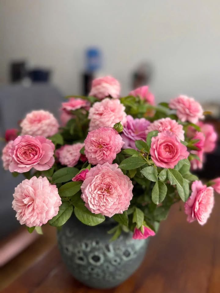 Đất nền khu Minh Tân - Minh Nông - Việt Trì 50m² giá 2 tỷ - Cơ hội đầu tư tuyệt vời!