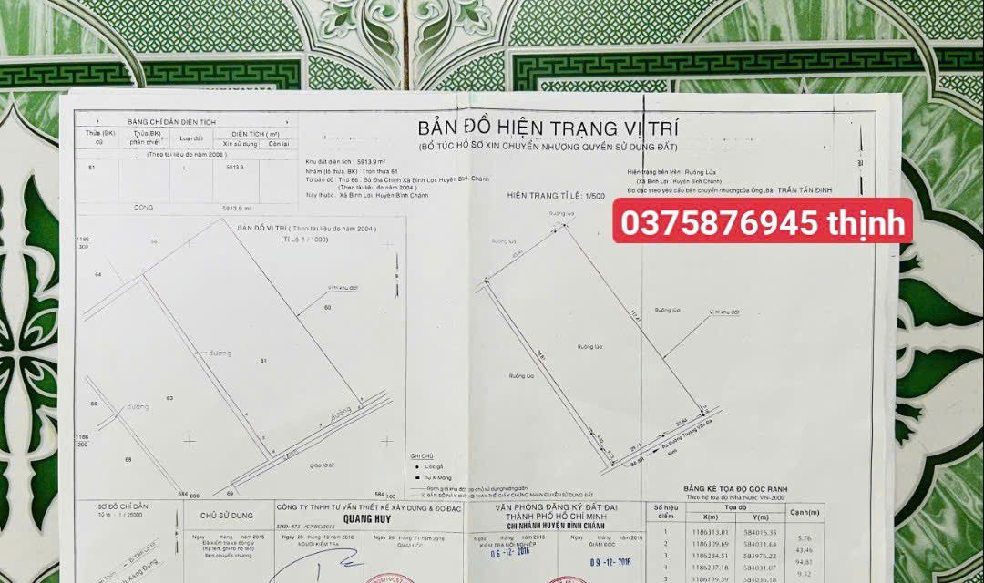 Đất nền góc 2 mặt tiền xã Bình Lợi 5913m² giá chỉ 2 triệu/m² - Cơ hội đầu tư hấp dẫn!