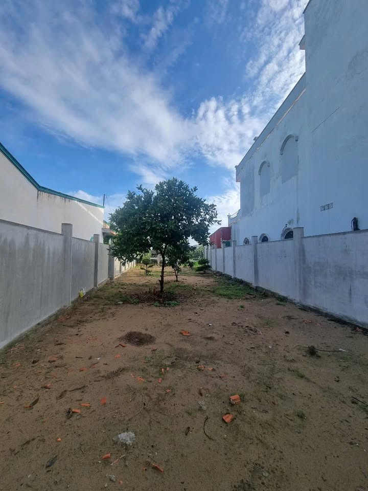 Bán đất mặt tiền đường Tân Long, xã Tân Nhựt, Bình Chánh, 254m² - Giá chỉ 3.9 tỷ VND!