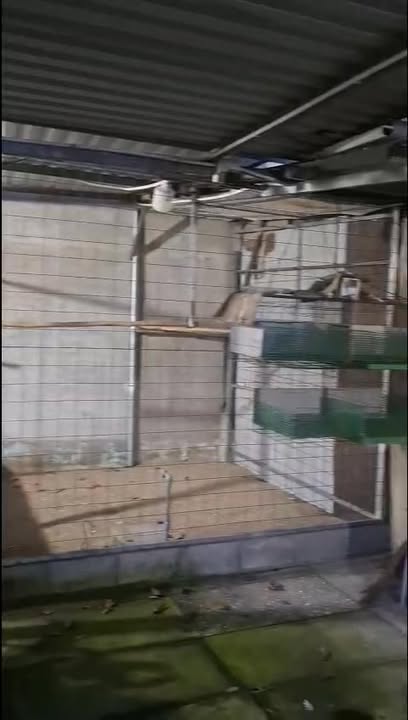 Đất nền Bình Chánh 1008m² giá 25 tỷ - Chính chủ bán gấp, sổ hồng riêng!