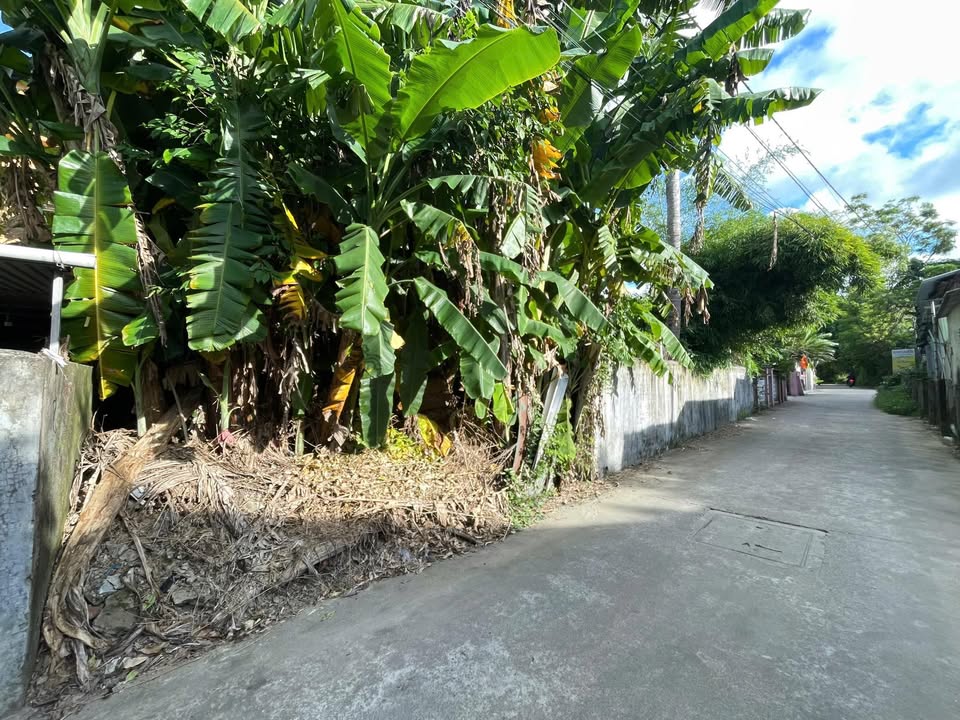 Đất mặt tiền Phạm Bá Nguyên, 144m² giá chỉ 1.872 tỷ - Vị trí đẹp thuận tiện kinh doanh!