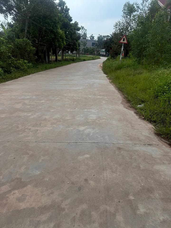 Đất nền Đồng Hưu Yên Thế 100m² chỉ 800 triệu - Đầu tư sinh lời ngay!