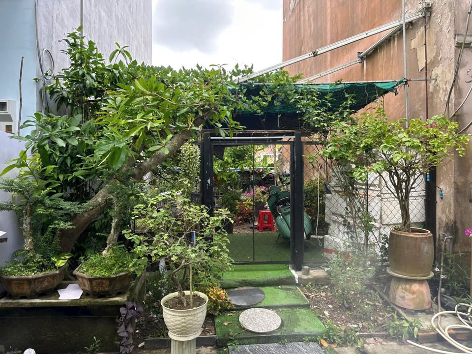 Đất nền khu dân cư Tường Vi, phường Mỹ Hoà, 40.8m² - Giá chỉ 600 triệu!