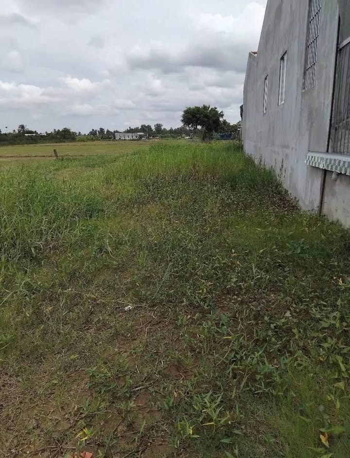 Đất thổ cư mặt tiền đường Cao Thị Mai 220m² giá 1.55 tỷ - Kinh doanh thuận lợi!