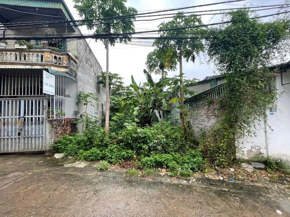 Đất nền tại phường Thống Nhất Hòa Bình 100m² giá chỉ 1.368 tỷ - Tiện kinh doanh