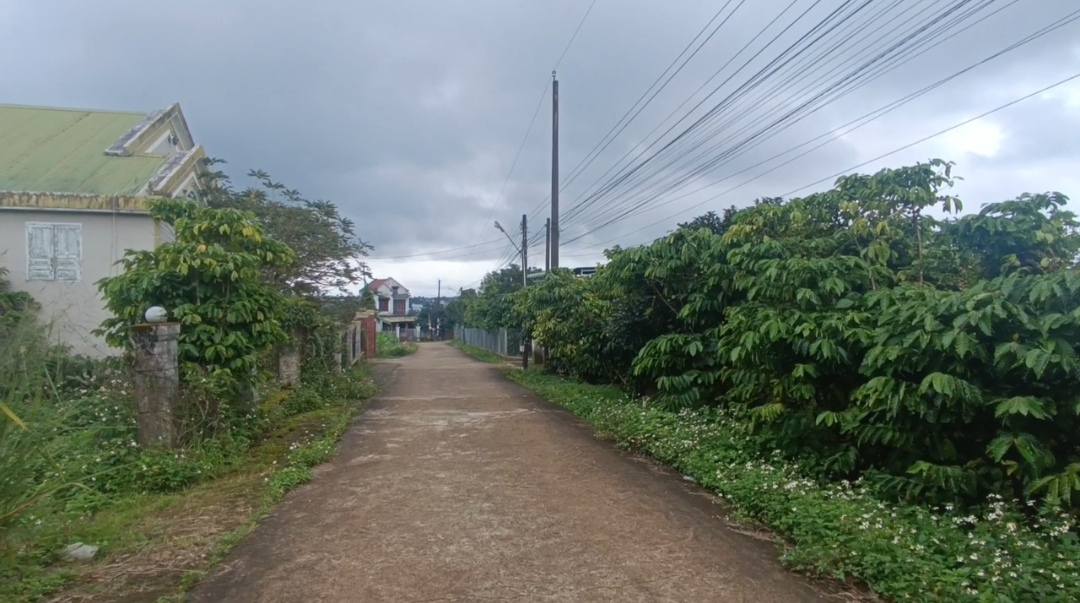 Đất nền 1000m² hẻm 19 Trần Nhật Duật, Bảo Lộc - Sổ đỏ chính chủ, giá 5 tỷ!