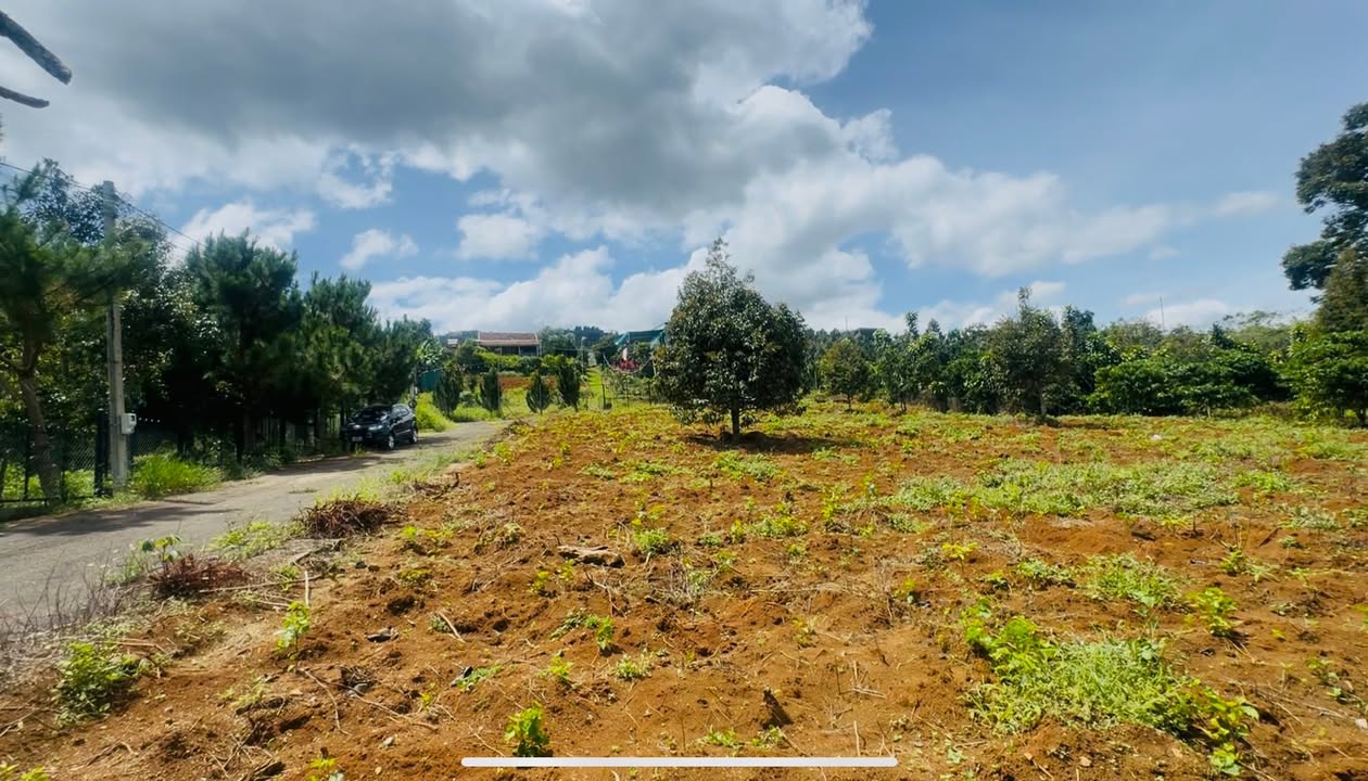 Đất nền Bảo Lộc 1631m² giá 2.6 tỷ - Mặt tiền đẹp, pháp lý rõ ràng!