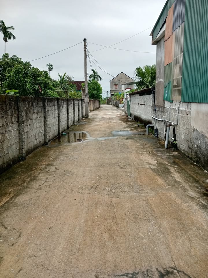 Đất Thạch Đài Thạch Hà 176m² giá 900 triệu - Phù hợp xây dựng nhà ở cho gia đình trẻ!