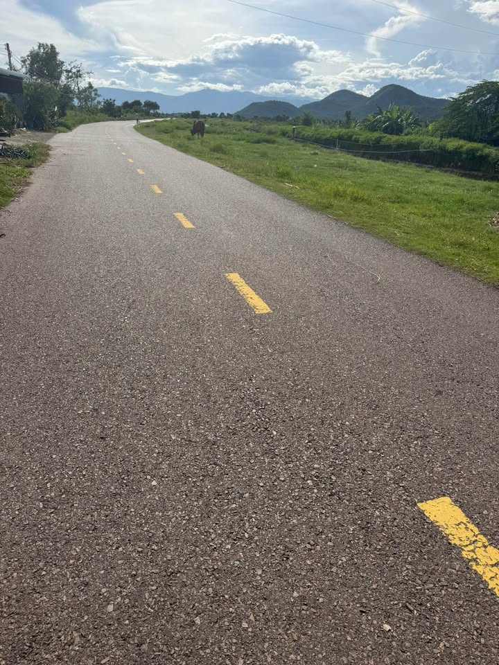 Đất Farm 7 Sào tại Xã Thuận Hoà, Hàm Thuận Bắc, Bình Thuận giá 1.5 tỷ - Đường ô tô vào tận nơi!