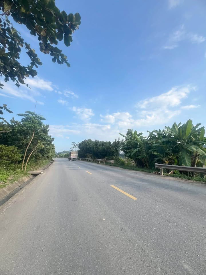 Đất mặt đường Quốc lộ 37, xã Thái Bình, 462m² - Vị trí kinh doanh sầm uất!