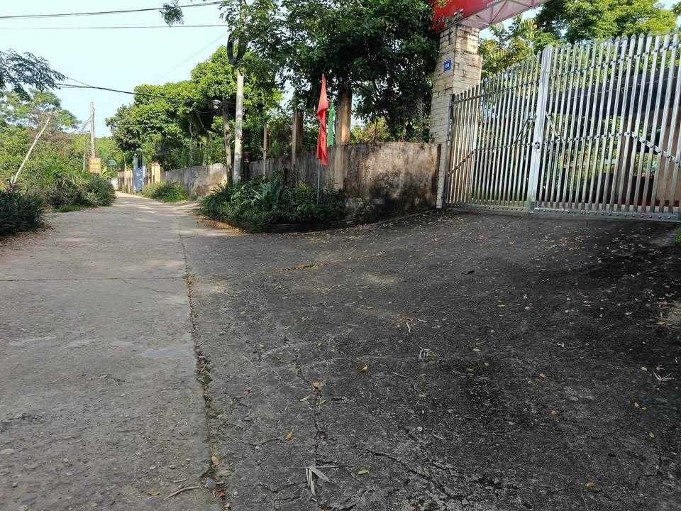 Đất nền Đội Cấn Tuyên Quang 1.500m² - Giá đẹp cho nhà đầu tư!