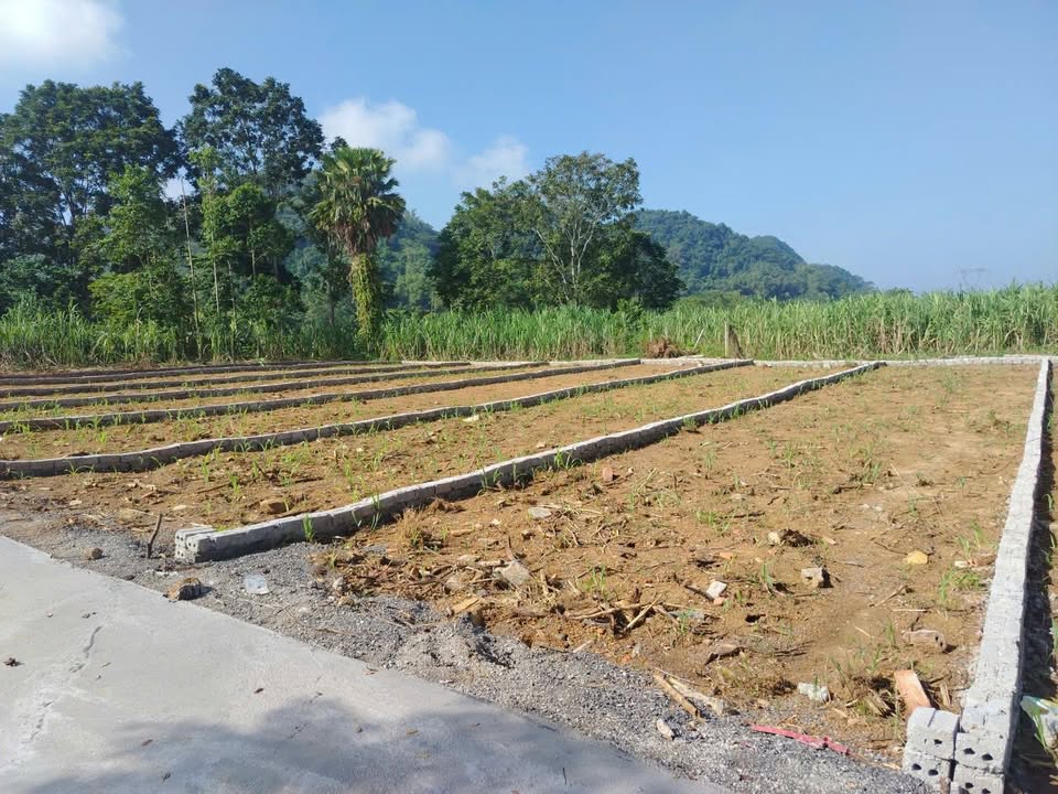 Đất nền tại phường Đa Phúc, Yên Thủy, Hòa Bình 130m² giá 260 triệu - Đầu tư sinh lời nhanh!