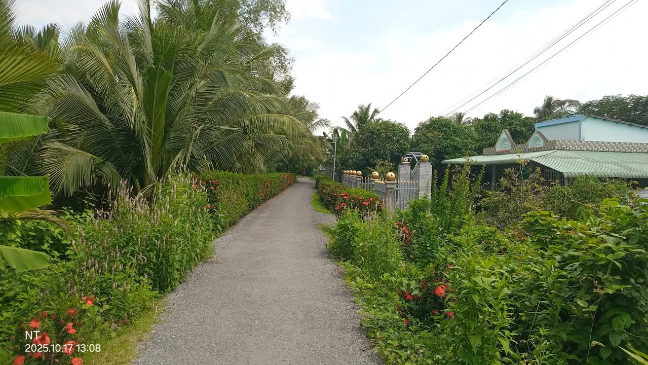 Đất nền Tân Long Hội, Mang Thít 165m² giá 350 triệu - Sổ đỏ chính chủ!