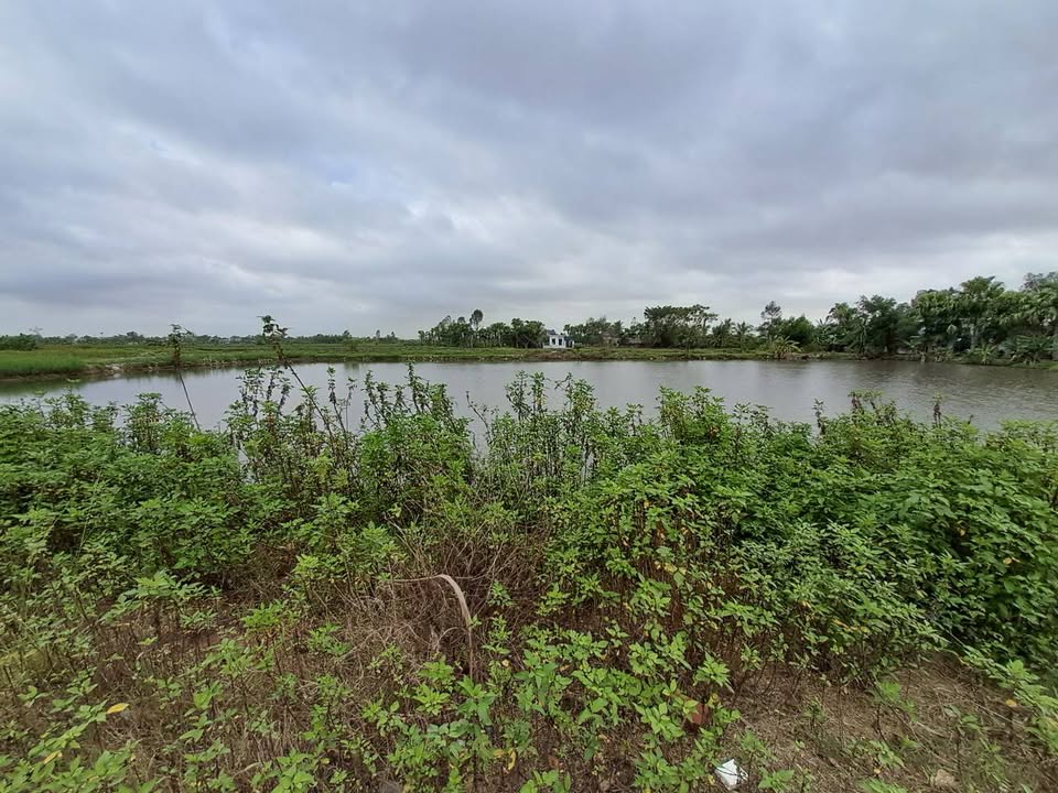 Đất nền kinh doanh Nam Sầm Sơn 125m² giá 1.7 tỷ - Cơ hội đầu tư sinh lời!