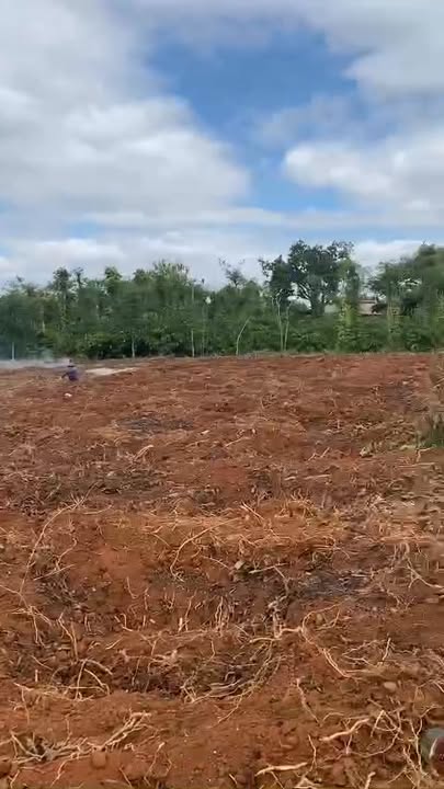 Đất nền 8,2 sào tại xã Quảng Hiệp, Cư M'gar, Đắk Lắk - Giá chỉ 2 tỷ VND