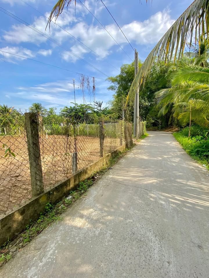 Đất nền đẹp tại xã Bình Trưng, Đồng Tháp - Giá chỉ 450 triệu - Ô tô vào tận nơi!