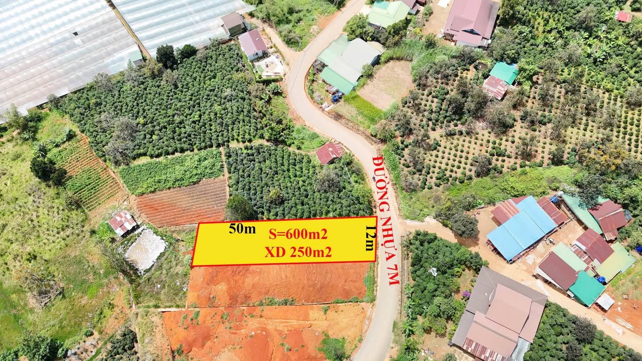 Đất nền 600m² Đạ Sar Lạc Dương giá 3 tỷ - Săn mây view đẹp