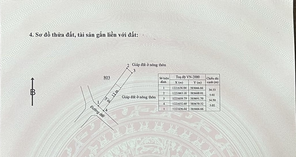 Đất bán tại thôn Đông Tân, xã Đông Hà, 172.8m² giá 480 triệu - Cơ hội đầu tư tuyệt vời!