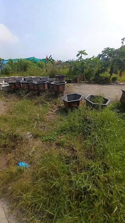 Đất nền Phù Cừ 125m² giá 2 tỷ - Cơ hội đầu tư sinh lời cao!