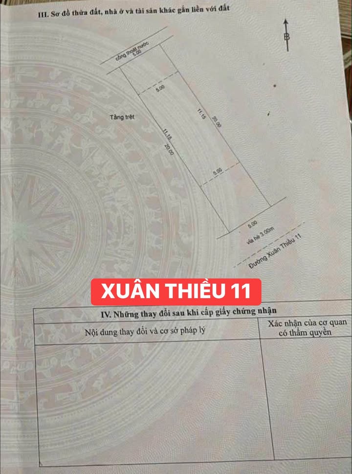 Nhà mặt tiền Xuân Thiều 11, Đà Nẵng 100m² - Đầu tư sinh lời ngay!
