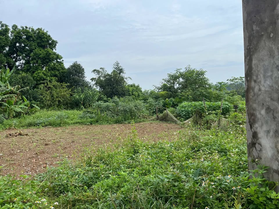 Đất nền KCN Nhuận Trạch, Lương Sơn 1100m² giá 3.3 tỷ - Cơ hội đầu tư tuyệt vời!