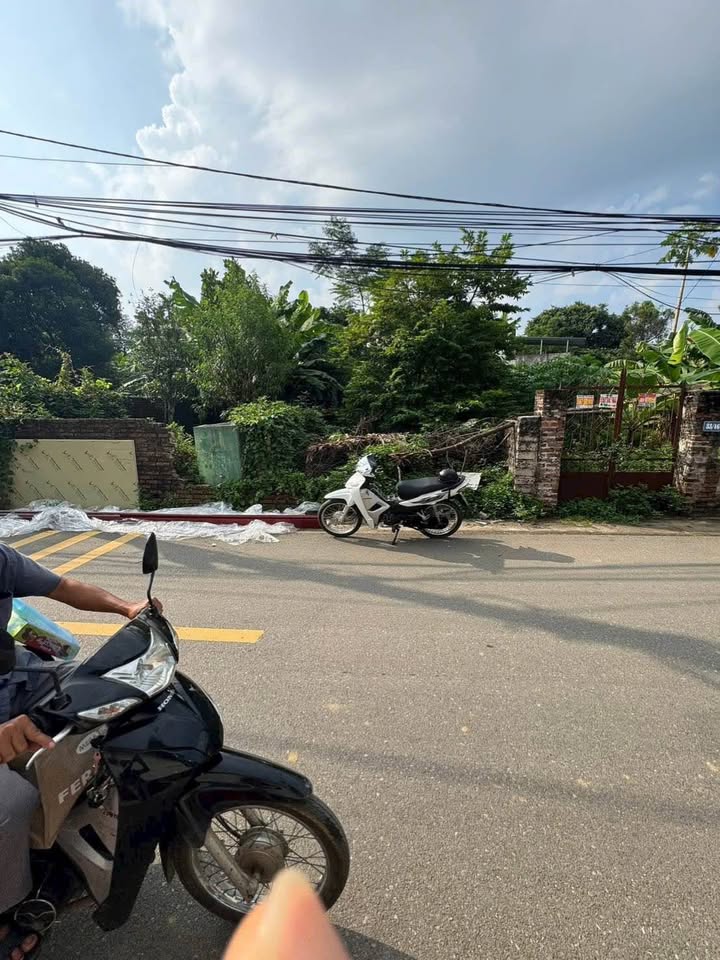 FrontHouse đường Trung Sơn Trầm 49m² giá 2 tỷ - Kinh doanh sầm uất!