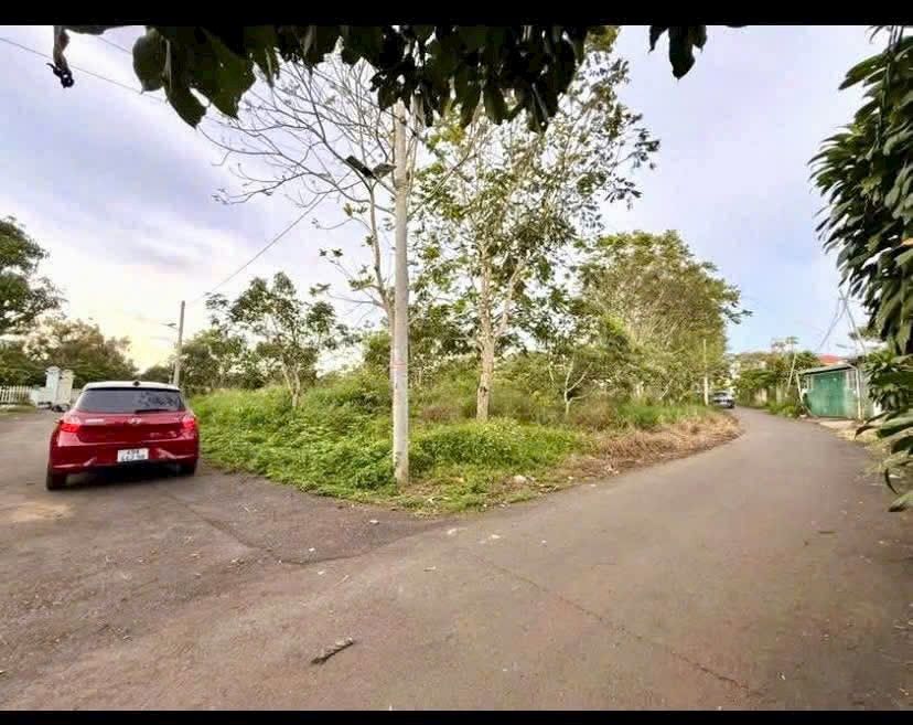 Đất nền B'lao Bảo Lộc 550m² giá 3.3 tỷ - Lô góc 2 mặt tiền đắc địa!