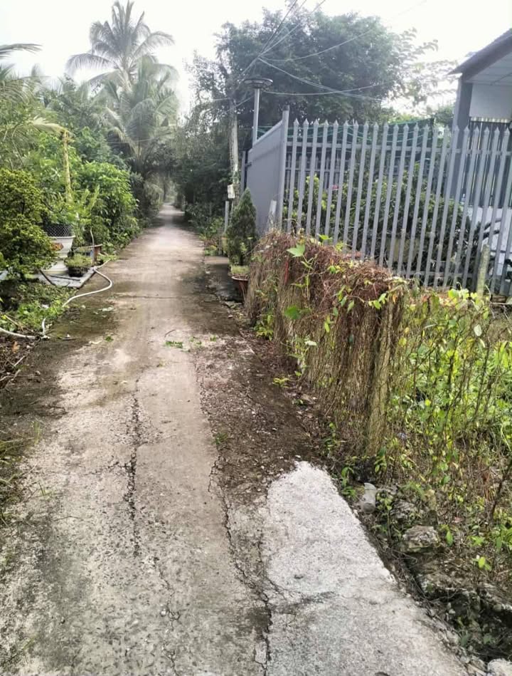 Đất nền Ấp Phú Thuận, xã Long Khánh, 144m² giá 700 triệu - Cơ hội đầu tư hấp dẫn!