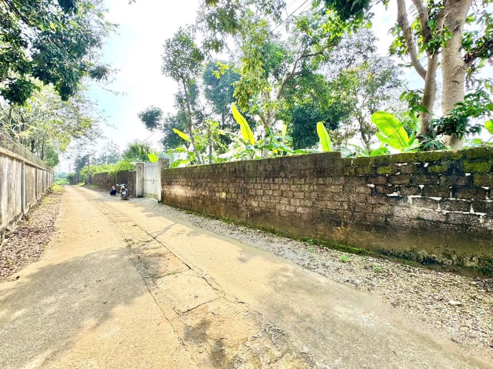 Đất mặt tiền Xuân Linh 1470m² giá 12 tỷ - Cơ hội đầu tư sinh lời cao!