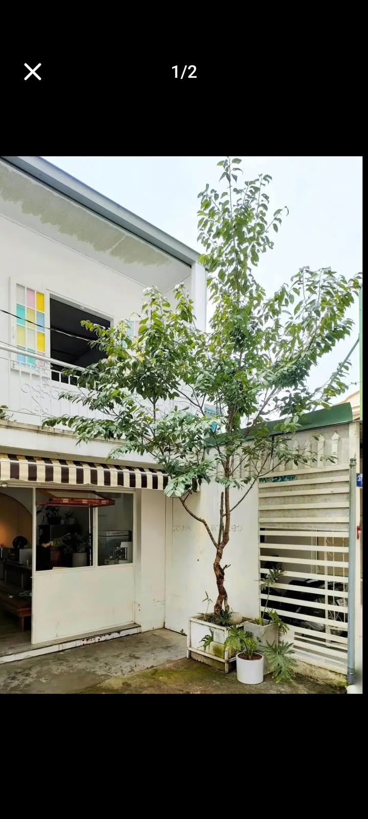 Cho thuê mặt bằng kinh doanh đường Hoàng Diệu Đà Lạt - Giá 8 triệu/tháng, phù hợp mọi mô hình