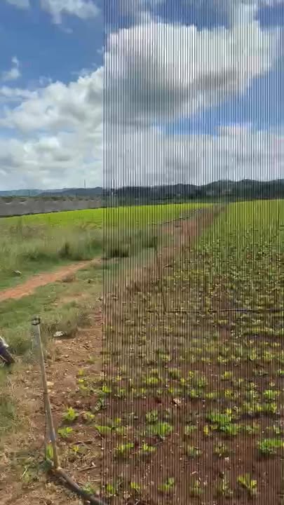 Đất nền Phú Hội, Đức Trọng 320m² giá 750 triệu - Sổ đỏ chính chủ, cơ hội đầu tư hấp dẫn!