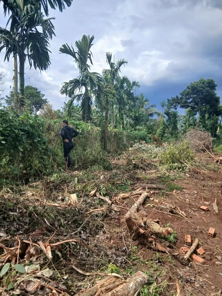 Đất nền phường Ea Kao, Buôn Ma Thuột 402m² chỉ 700 triệu - Lô duy nhất chờ chủ mới!